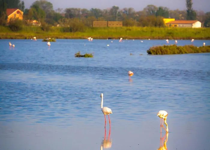 Lägenhetshotell Eden 3*