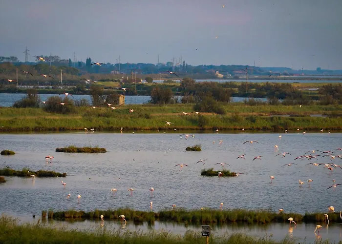 Eden Lägenhetshotell Comacchio