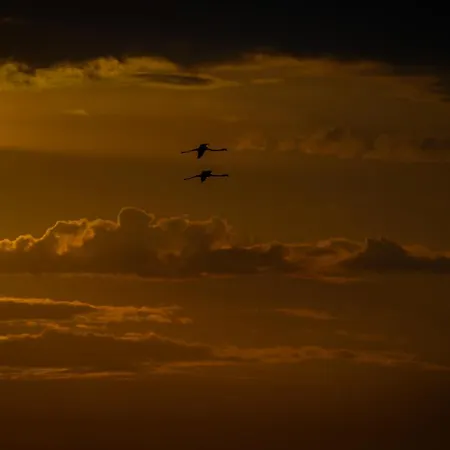 Eden Ξενοδοχείο με διαμερίσματα