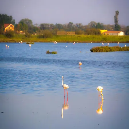 מלון דירות Eden 3*