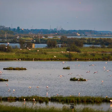 Eden Ξενοδοχείο με διαμερίσματα Comacchio